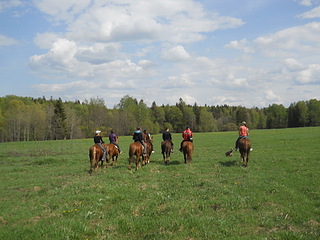 click for enlarge 1920 X 1440 704.3 Kb picture