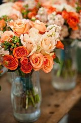 click for enlarge 402 X 604 47.3 Kb picture