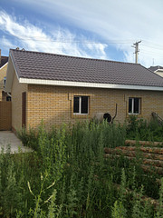 click for enlarge 600 X 800 154.5 Kb picture