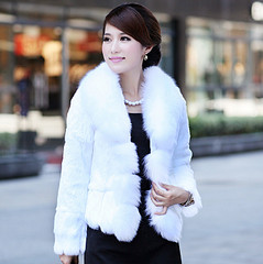 click for enlarge 750 X 751 111.4 Kb picture