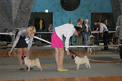 click for enlarge 800 X 533 122.4 Kb picture