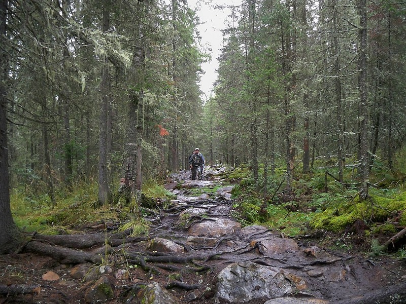 click for enlarge 1024 X 768 389.8 Kb picture