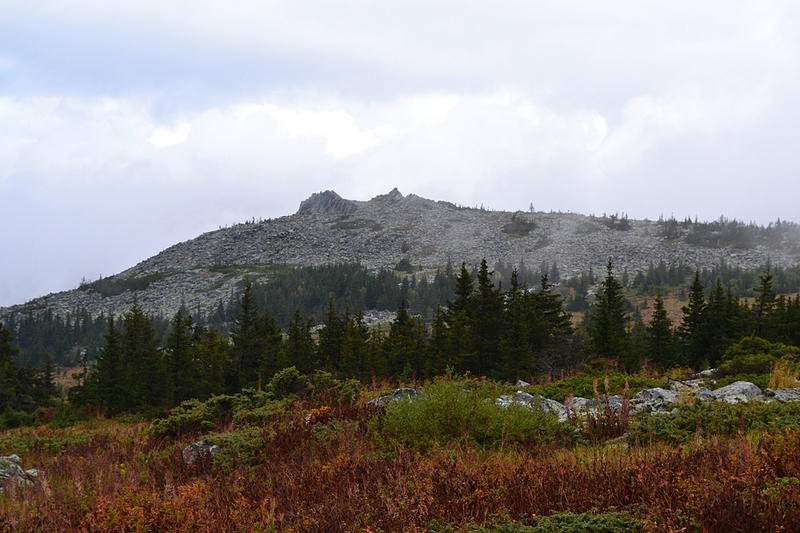 click for enlarge 1152 X 768 525.5 Kb picture