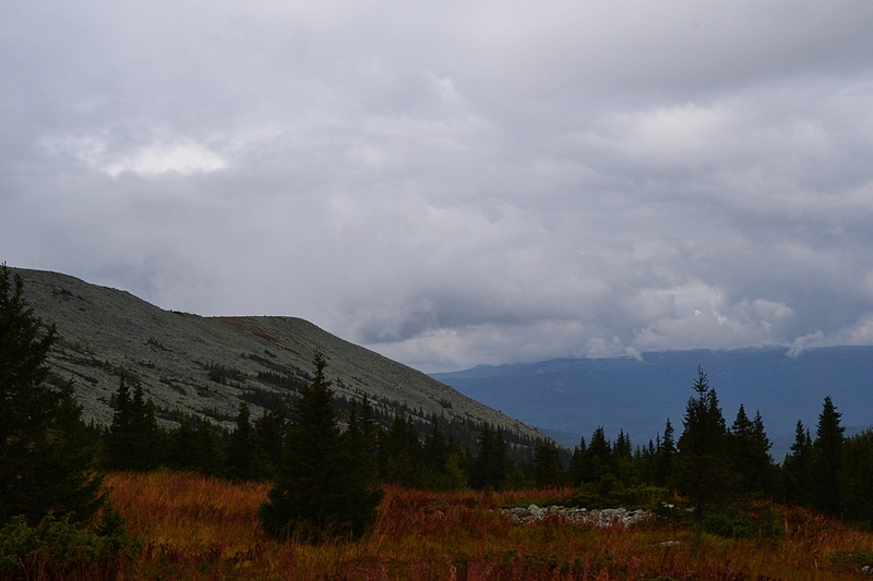 click for enlarge 1152 X 768 428.8 Kb picture