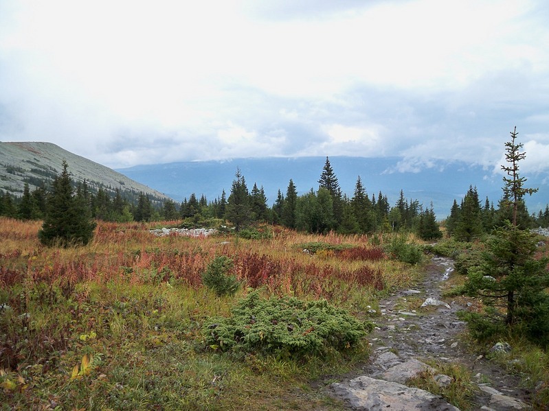 click for enlarge 1434 X 1075 437.7 Kb picture