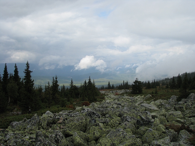 click for enlarge 1142 X 857 425.3 Kb picture