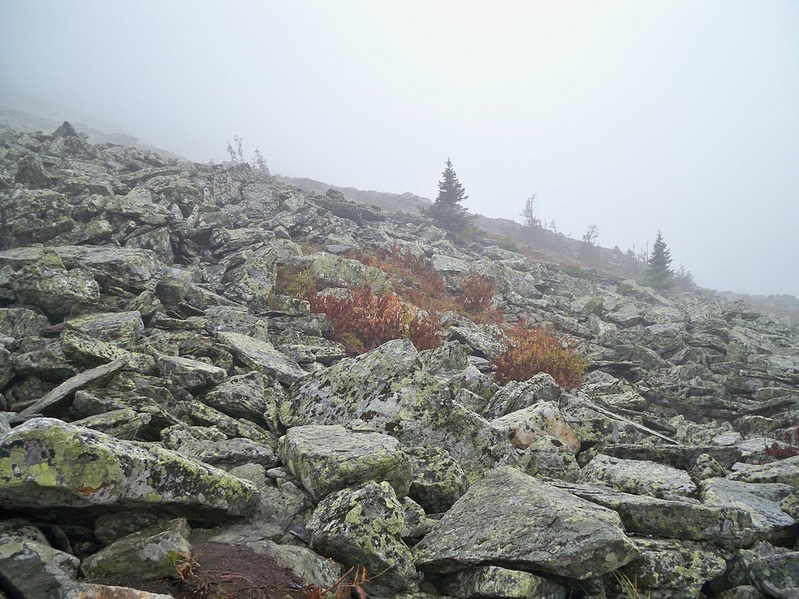 click for enlarge 1434 X 1075 451.8 Kb picture