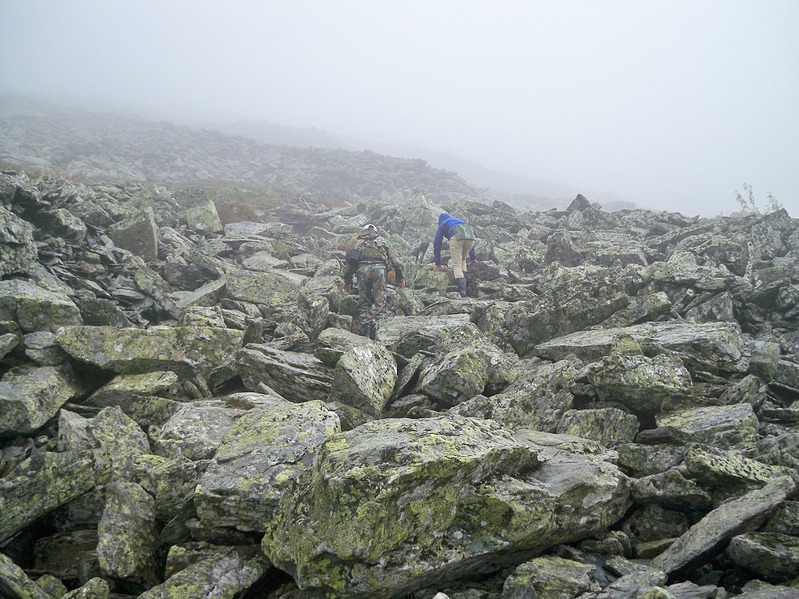 click for enlarge 1434 X 1075 454.0 Kb picture