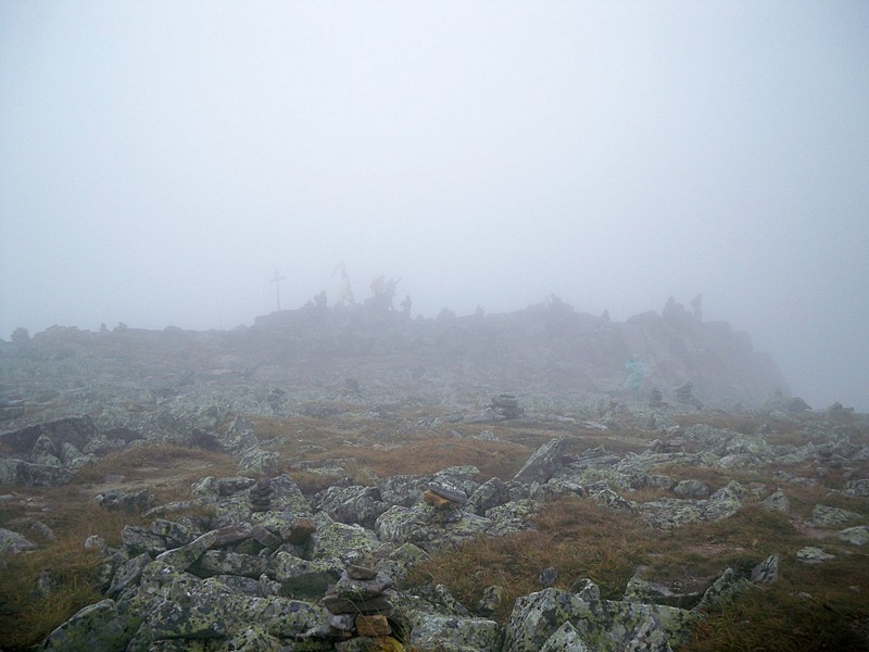 click for enlarge 1920 X 1440 374.2 Kb picture