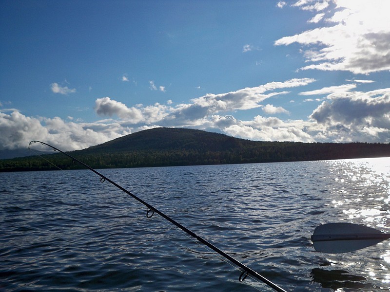 click for enlarge 1920 X 1440 464.6 Kb picture