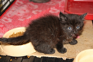 click for enlarge 1024 X 683 308.3 Kb picture