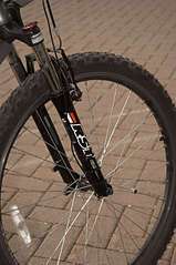 click for enlarge 1919 X 2884 376.7 Kb picture