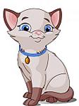 click for enlarge 240 X 320 11.2 Kb picture