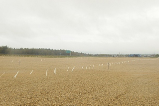 click for enlarge 1024 X 680 276.6 Kb picture