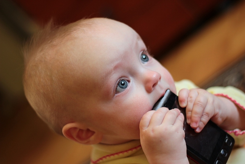 click for enlarge 1024 X 683 202.1 Kb picture