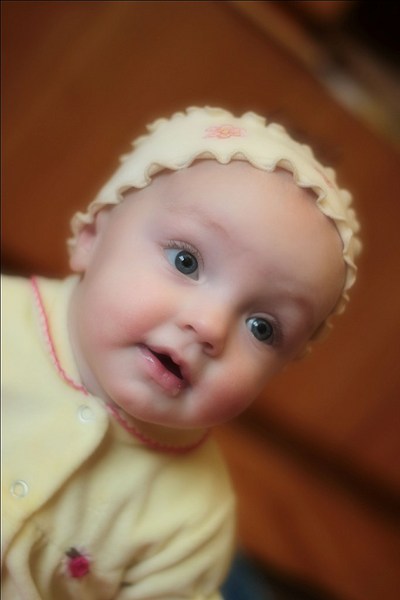 click for enlarge 683 X 1024 68.3 Kb picture