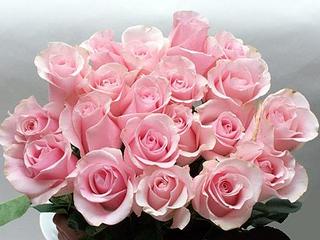 click for enlarge 500 X 375  29.8 Kb picture