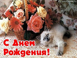 click for enlarge 400 X 300  40.2 Kb picture