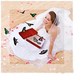 click for enlarge 625 X 625 40.1 Kb picture