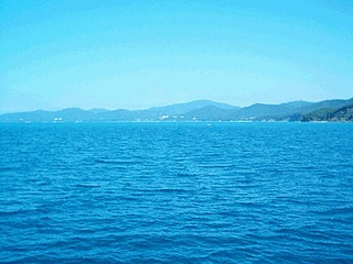 click for enlarge 800 X 600 105.1 Kb picture
