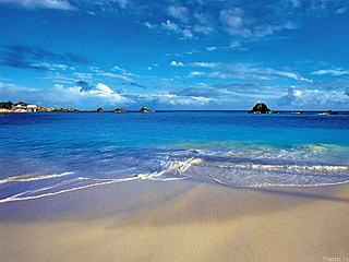 click for enlarge 800 X 600  63.3 Kb picture