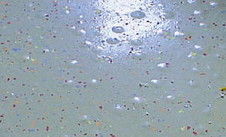 click for enlarge 379 X 230 16.4 Kb picture