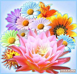 click for enlarge 500 X 480 49.1 Kb picture