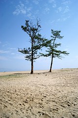 click for enlarge 1920 X 2885 514.8 Kb picture