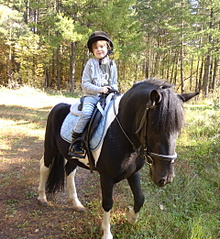 click for enlarge 1920 X 2088 678.9 Kb picture