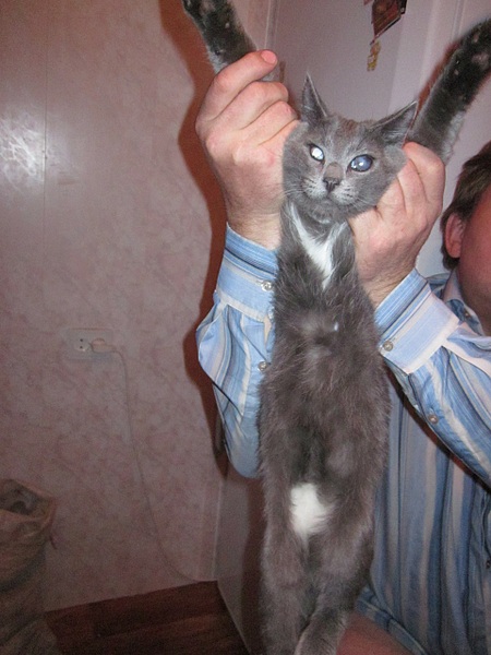 click for enlarge 1920 X 2560 323.0 Kb picture