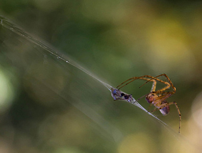 click for enlarge 800 X 605 105.9 Kb picture
