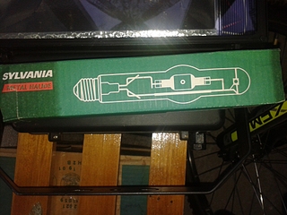 click for enlarge 1920 X 1440 143.9 Kb picture