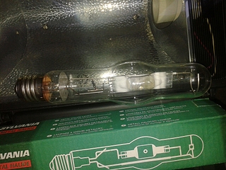 click for enlarge 1920 X 1440 216.5 Kb picture