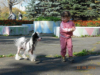 click for enlarge 800 X 600 173.2 Kb picture