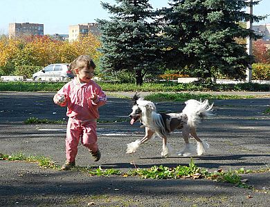 click for enlarge 780 X 600 148.9 Kb picture