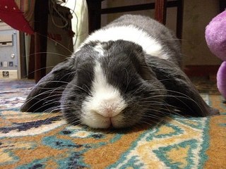 click for enlarge 604 X 453  69.2 Kb picture