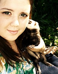 click for enlarge 806 X 1023 166.0 Kb picture
