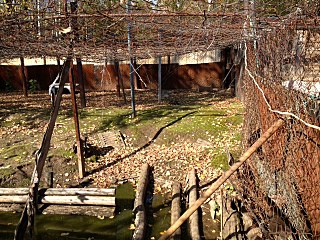 click for enlarge 640 X 480 146.4 Kb picture