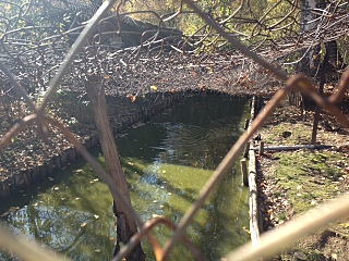 click for enlarge 640 X 480 185.2 Kb picture