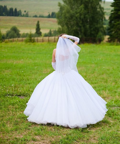 click for enlarge 858 X 1024 159.8 Kb picture
