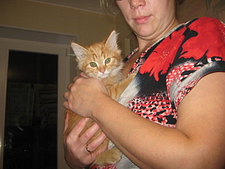 click for enlarge 1600 X 1200 522.1 Kb picture