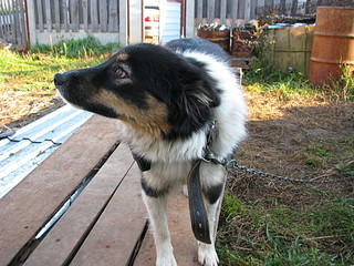 click for enlarge 1920 X 1440 787.4 Kb picture