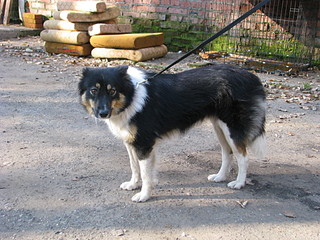 click for enlarge 1920 X 1440 804.1 Kb picture