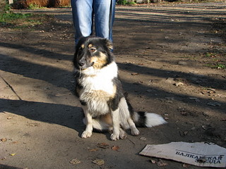 click for enlarge 1920 X 1440 696.2 Kb picture