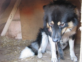 click for enlarge 1920 X 1440 567.5 Kb picture