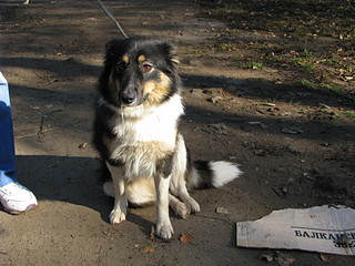 click for enlarge 1920 X 1440 705.9 Kb picture