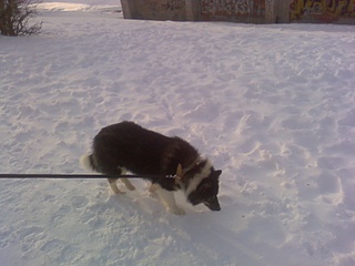 click for enlarge 1600 X 1200 293.6 Kb picture