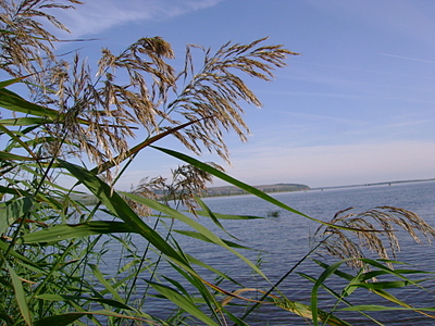 click for enlarge 1920 X 1440 312.8 Kb picture