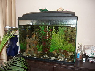 click for enlarge 1920 X 1440 240.0 Kb picture