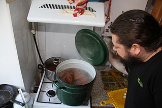 click for enlarge 1732 X 1155 446.9 Kb picture